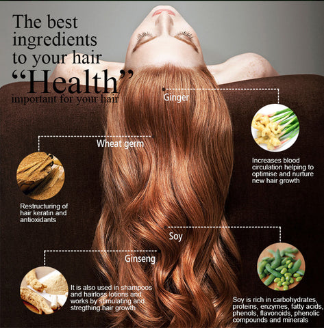 Herbal Ginger Hair Regrowth Shampoo Herbal Ginger Hair Regrowth Shampoo