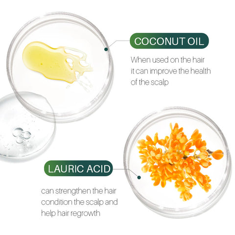 Tea Tree Shampoo Hair Care Moisturizing Moisturizing Tea Tree Shampoo Hair Care Moisturizing Moisturizing