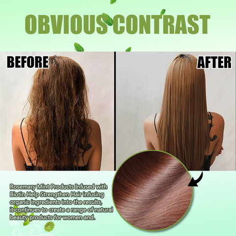 Rosemary Mint Shampoo Moisturizing Supple Hair Repair Dry Frizz Refreshing Shampoo Hair Care Rosemary Mint Shampoo Moisturizing Supple Hair Repair Dry Frizz Refreshing Shampoo Hair Care